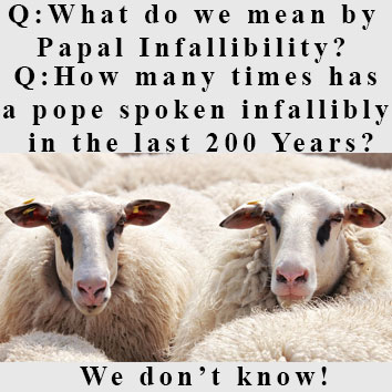 Picture of two sheep unable to answer questions
